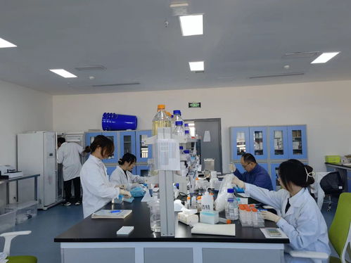 四川推進科技創新領域兩新組織兩個覆蓋 生物科技技術咨詢的新機遇