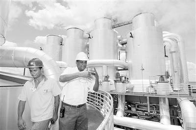 巴西優先發展生物燃料 經濟困境中的綠色突圍之路